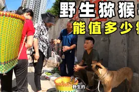 小伙为了体验生活，摘野生猕猴桃上街卖，看看他能卖多少钱！视频封面