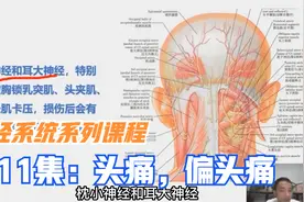 神经性偏头痛，感冒头痛，喝酒头疼，可能和颈丛神经卡压受损有关视频封面