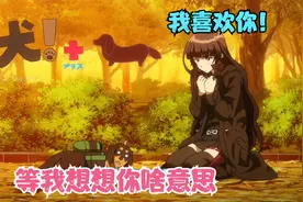 果然直男就算转生成狗也是条单身狗视频封面