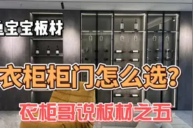定制衣柜水太深！大品牌索菲亚推荐颗粒板做柜门，为什么不用实木视频封面