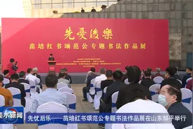 先忧后乐——苗培红书颂范公专题书法作品展在山东邹平市举行视频封面