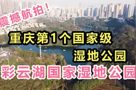 重庆第1个国家级湿地公园，彩云湖国家湿地公园！真的太美啦！视频封面
