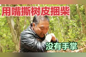 没有手掌咋干活?农村50岁蔡叔上山砍柴,用嘴撕下树皮捆走几十斤！