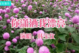 1987年韩宝仪《你潇洒我漂亮》女人爱潇洒 男人爱漂亮 经典好听视频封面