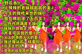11首火爆又好听的DJ舞曲《火辣辣的老妹贼啦啦的美》《野花香》视频封面