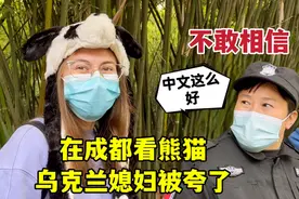 洋媳妇在成都看熊猫，一开口当地人被惊到：你中文说的也太溜了！视频封面