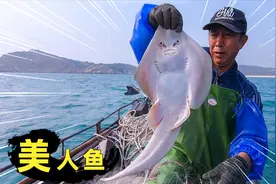 渔民老魏出海捕鱼，竟然抓到一条美人鱼，令人惊奇你们见过吗视频封面