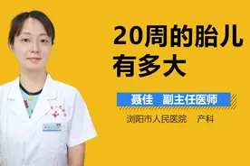 20周的胎儿有多大？视频封面