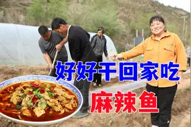 霞姐育红薯苗失败，买了400颗来栽，回家买2条鲤鱼做麻辣鱼，真香视频封面