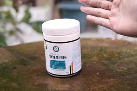 养花生根速度慢怎么办？园艺师教你，用快速生根粉，什么花都能用视频封面