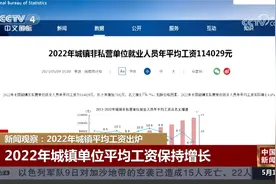 新闻观察：2022年城镇平均工资出炉视频封面