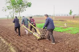 河南开始种小麦了，这种老式种麦工具你见过吗？小块地用最方便视频封面
