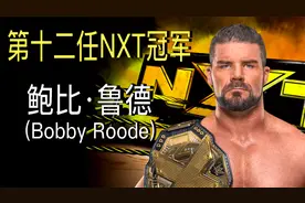 【WWE人物】第十二任NXT冠军荣耀哥鲁德的WWE主秀之旅视频封面