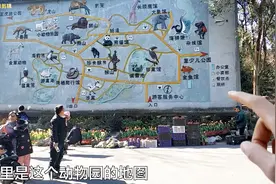 小伙今天来逛动物园里面很多动物还有海豹表演20块的票价值了上集视频封面