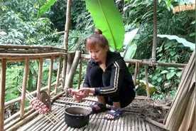 美女隐居山林，和狗子猴哥齐聚一堂，过上幸福快乐的自由生活！视频封面