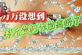 万万没想到，美元霸权分崩离析了视频封面