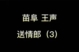苗阜 王声 《送情郎》（3）视频封面
