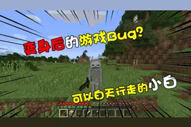 我的世界多样玩法：变身小白发现游戏Bug！不能射箭可以白天行走
