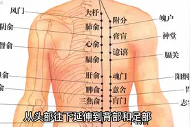 膀胱经是人体最长的一条经络
也是人体最大的排湿、排毒通道视频封面