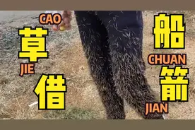 我就想问问你，你这裤子到底经历了什么视频封面