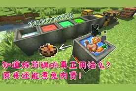 我的世界番外篇89：知道炼药锅真正用法么？锅里原来还能煮饭！