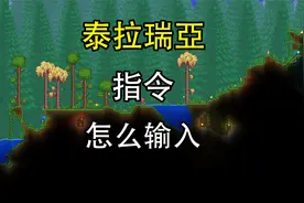 泰拉瑞亚指令怎么输入？泰拉瑞亚指令哪里输入指令？
