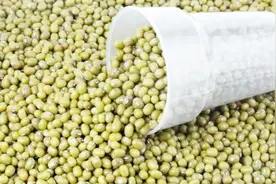 冬天保存绿豆最正确的方法，绿豆放多久都不会生虫，赶快回家试试视频封面