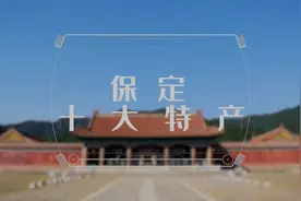 保定十大特产视频封面