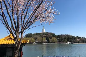 春日暖阳，三口子游北海公园 ，白塔绿树红墙，一片生机盎然！视频封面