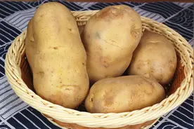 原来土豆要这么保存，放一年都不变青不发芽，快回家试试