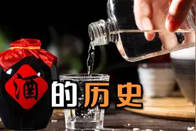 酒的历史：猿猴发明了酒？武松喝酒像喝水是真的？酒能当汽油使？视频封面