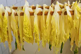 晒白菜干，这样做比新鲜白菜还好吃，炖肉包包子都香，超实用