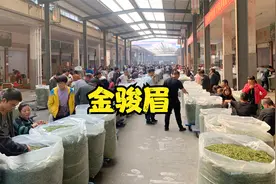 大鹏来到武夷山茶叶批发市场，拿下400斤金骏眉，这性价比太高了视频封面