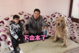 为了哄侄子上学，小虎下血本给他买了部手机，希望他能好好学习吧