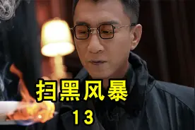 一亿现金垒成的台子有多大，李成阳发动人脉救大嫂#扫黑风暴