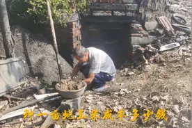 河南农村种一亩地玉米需要投资多少钱？69岁种地大爷亲口告诉你！