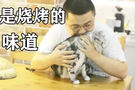 听说咬住猫的后脖颈，能轻松给猫剪指甲。视频封面