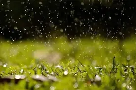 雨水时节，一首《听雨》雨声，鸟鸣，流水，彩虹，美极了！