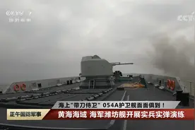 海上“带刀侍卫”054A护卫舰面面俱到！海军潍坊舰开展实弹演练视频封面