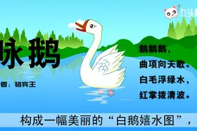 幼儿必背古诗100首——《咏鹅》骆宾王视频封面