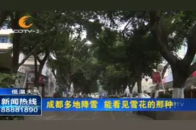 它来啦！成都多地降雪，能看见雪花的那种！视频封面