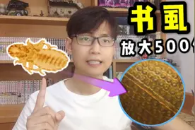 显微镜放大500倍的书虱！它好像披了一件黄金鳞甲视频封面