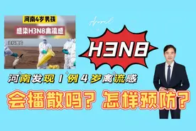 河南1例人感染H3N8禽流感病例，系4岁男孩，会大范围传播吗？视频封面