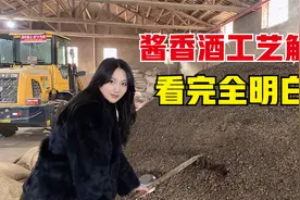 一瓶酱香酒如何生产？酒厂女老板介绍全部工艺，一个视频全明白了视频封面