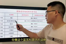 养母猪：经产母猪要打的疫苗，养猪人你都做好了吗？视频封面