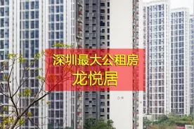 实拍深圳最大规模公租房-龙悦居，住户有11000多，月租仅七百元视频封面