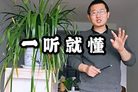 大东用植物讲育儿，孩子爱咬指甲吃手是这个原因，不要弄错了视频封面