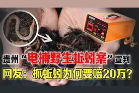 贵州4人抓蚯蚓致富，不料却被严惩，为什么不给抓蚯蚓了？