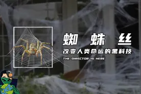 蜘蛛丝 改变人类命运的黑科技视频封面