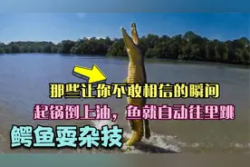 那些让你不敢相信的瞬间，起锅倒上油，鱼就自动往里跳视频封面